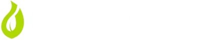 Cebulki